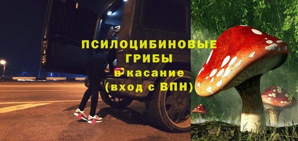 дмт Армянск